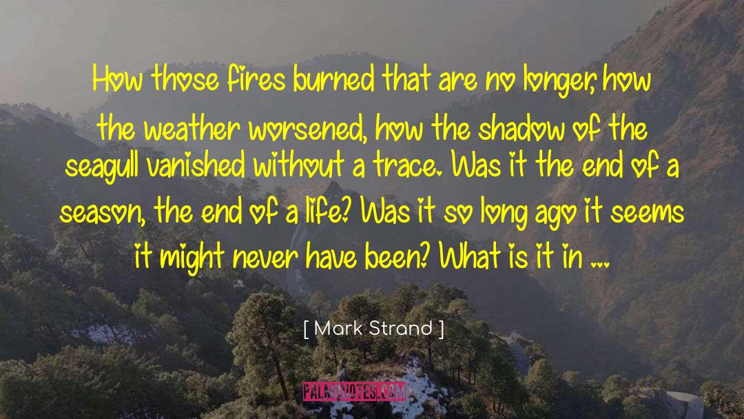 Sad Life quotes by Mark Strand