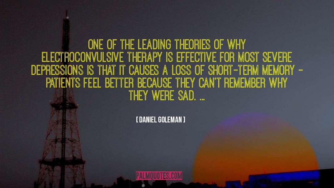 Sad Memories quotes by Daniel Goleman