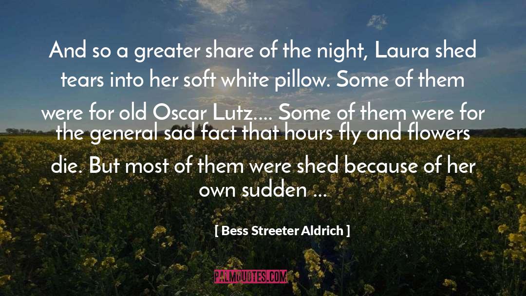 Sad quotes by Bess Streeter Aldrich