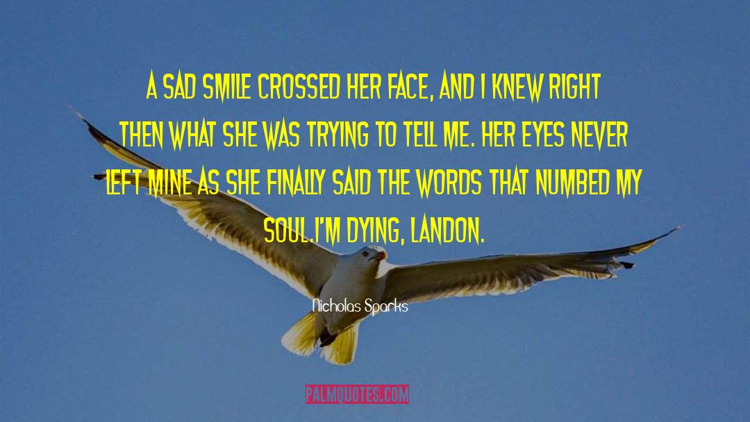 Sad Smile quotes by Nicholas Sparks