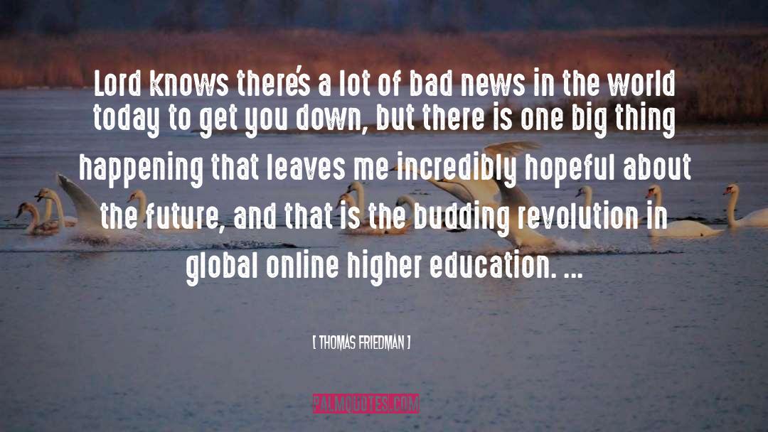 Sad World quotes by Thomas Friedman