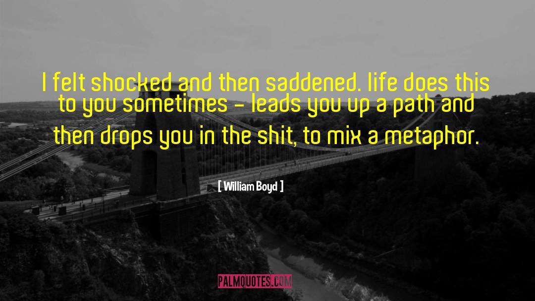 Saddened quotes by William Boyd