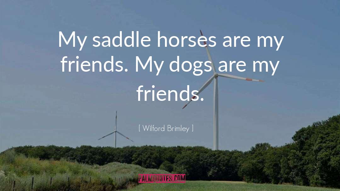 Saddles quotes by Wilford Brimley