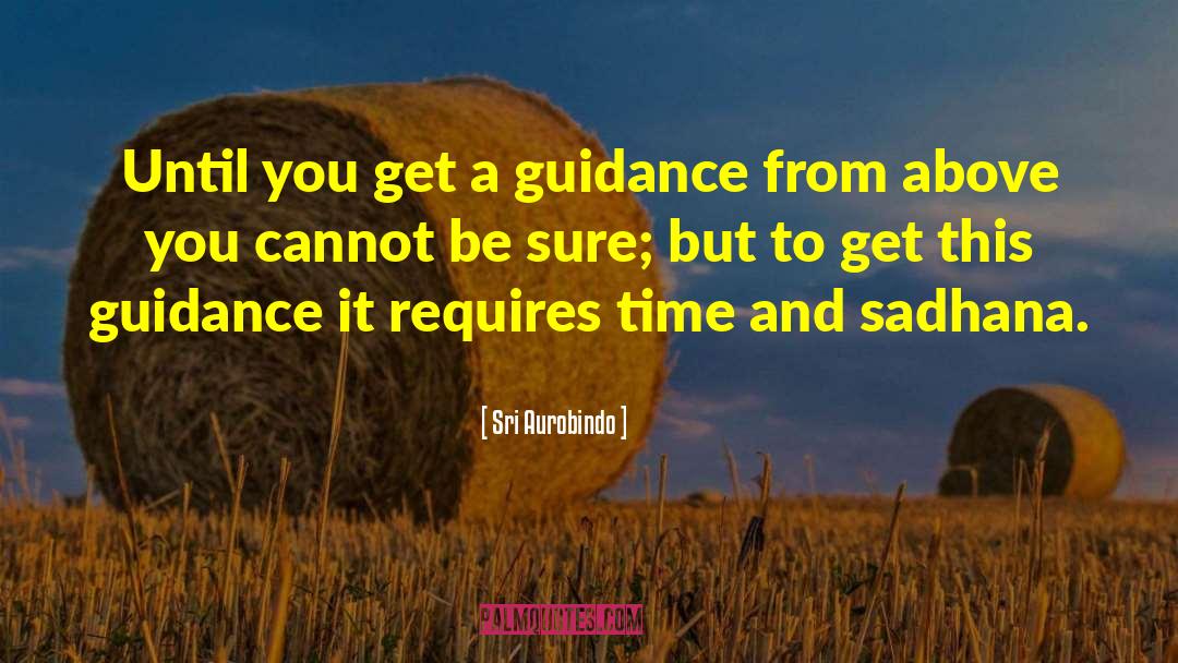 Sadhana quotes by Sri Aurobindo