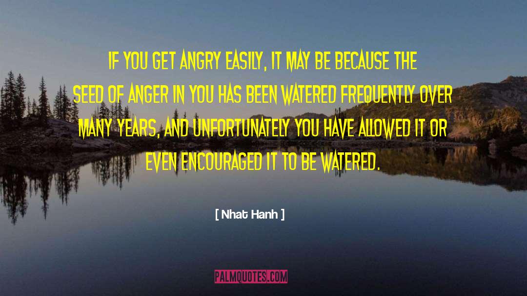 Sadness And Anger quotes by Nhat Hanh