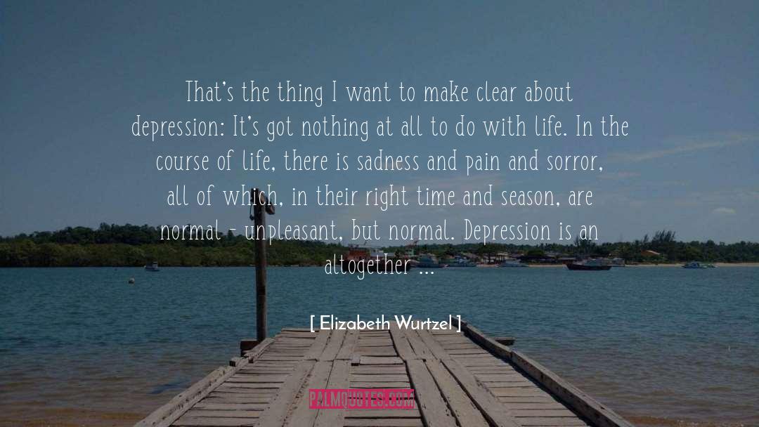Sadness And Pain quotes by Elizabeth Wurtzel