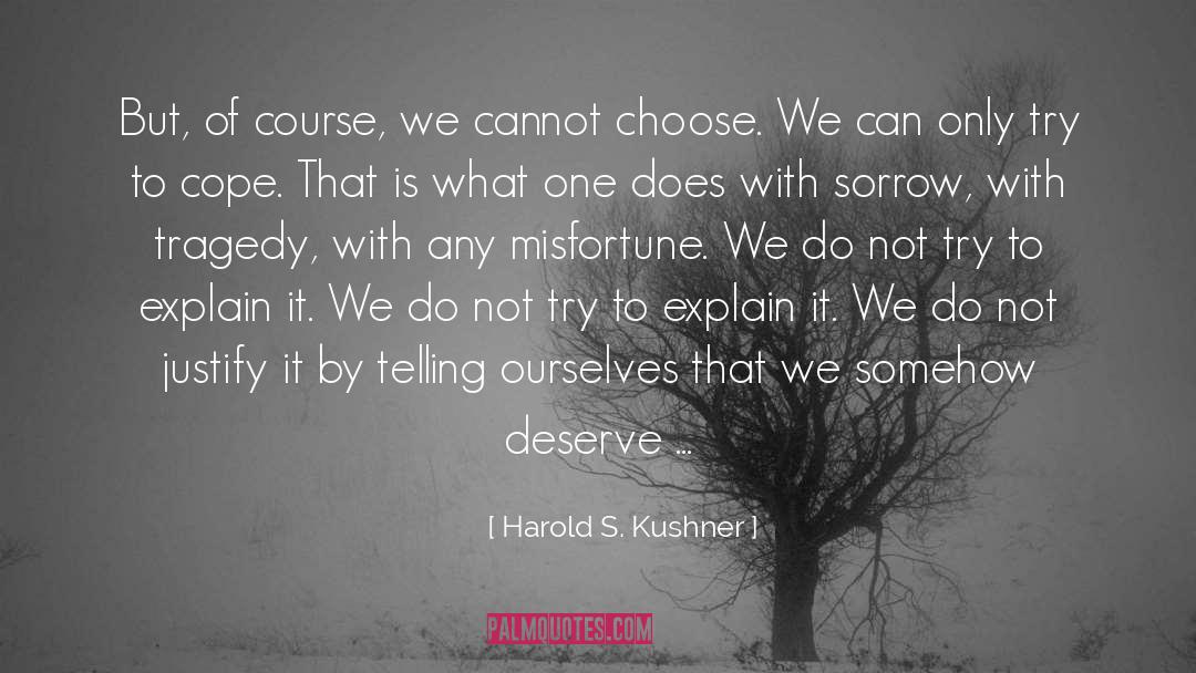 Sadness And Sorrow quotes by Harold S. Kushner