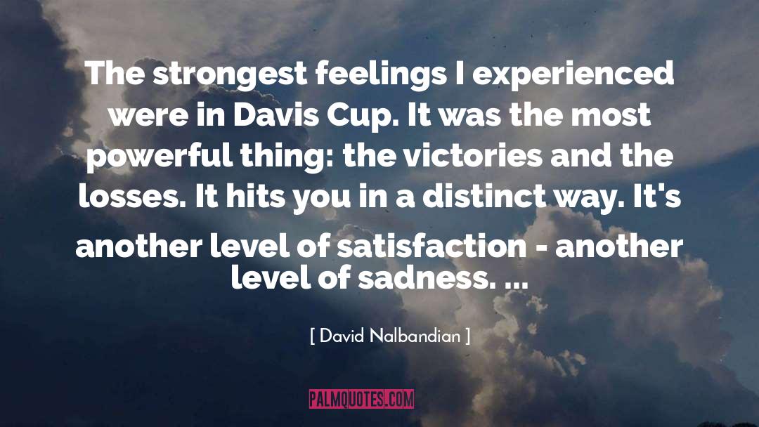 Sadness In Friendship quotes by David Nalbandian