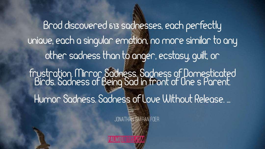 Sadness Of Love quotes by Jonathan Safran Foer