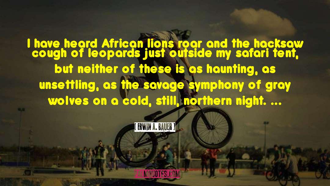 Safari quotes by Erwin A. Bauer