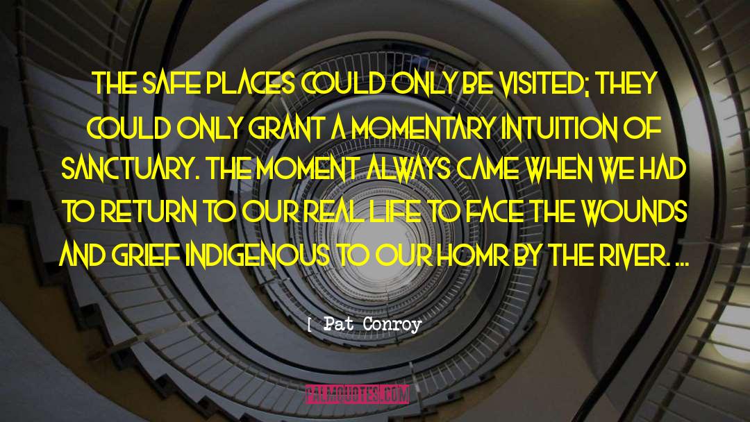 Safe And Secure quotes by Pat Conroy
