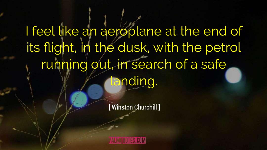 Safe Landing quotes by Winston Churchill