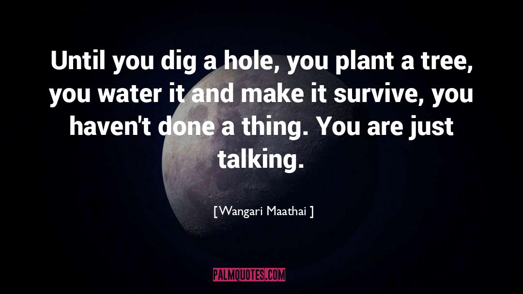 Safe Water quotes by Wangari Maathai