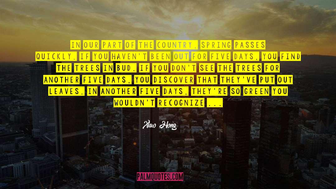 Safest Place On Earth quotes by Xiao Hong
