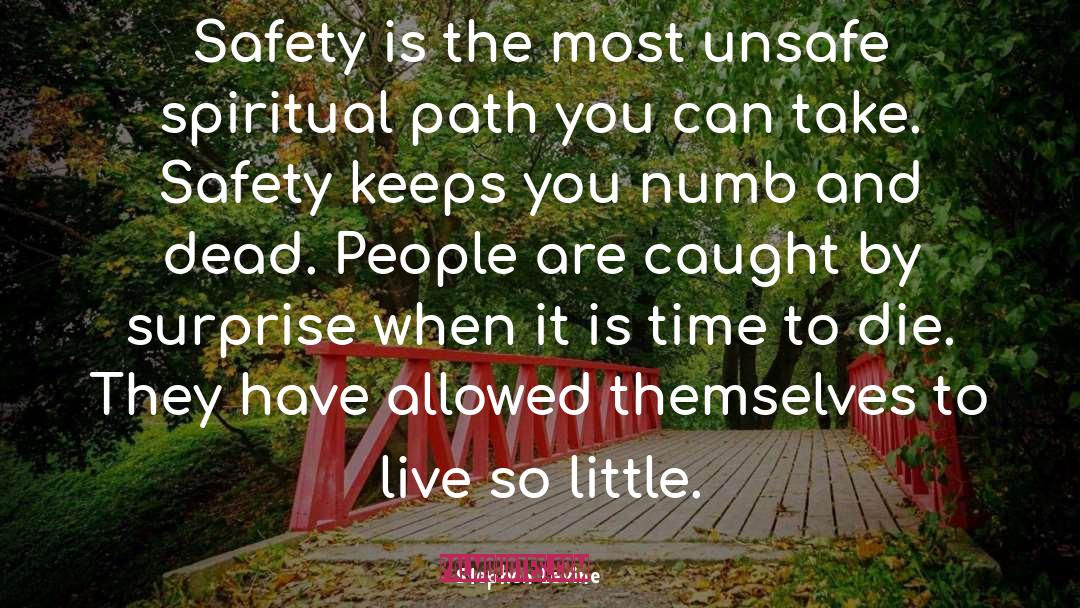 Safety Doesnt Happen By Accident quotes by Stephen Levine