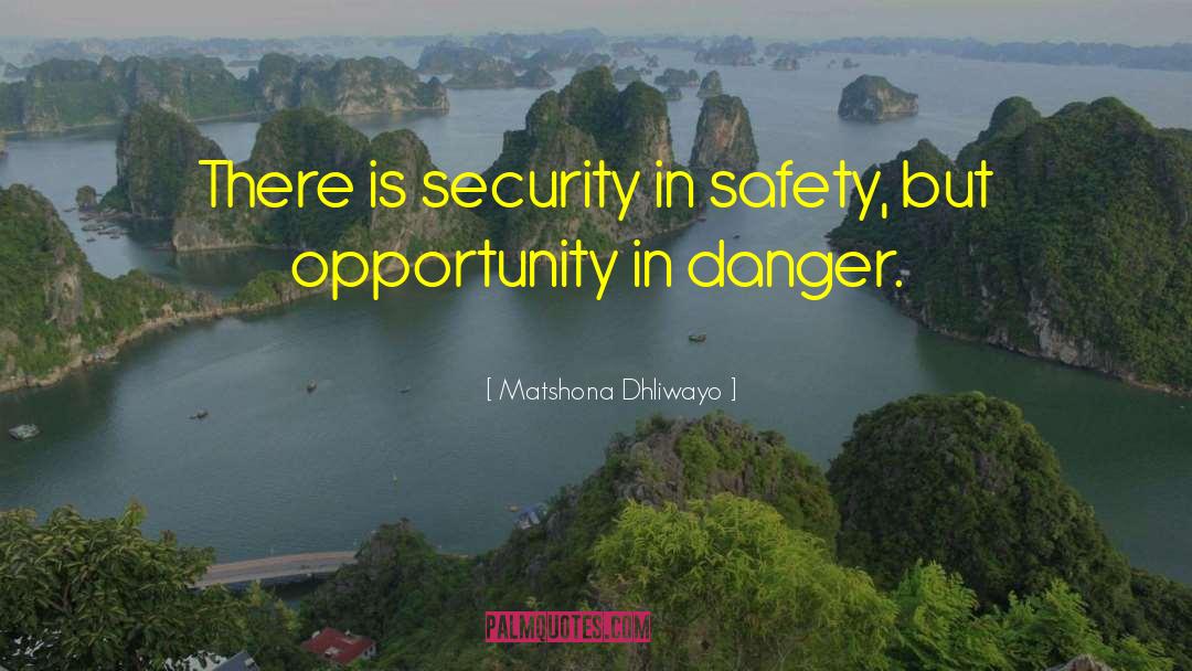 Safety In Numbers quotes by Matshona Dhliwayo