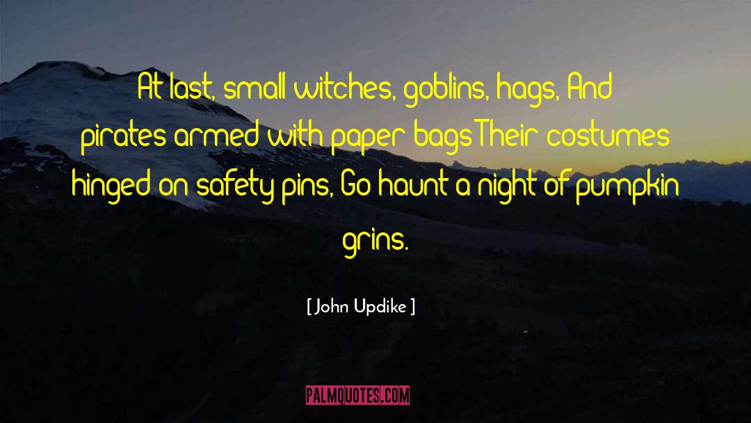 Safety Pins quotes by John Updike