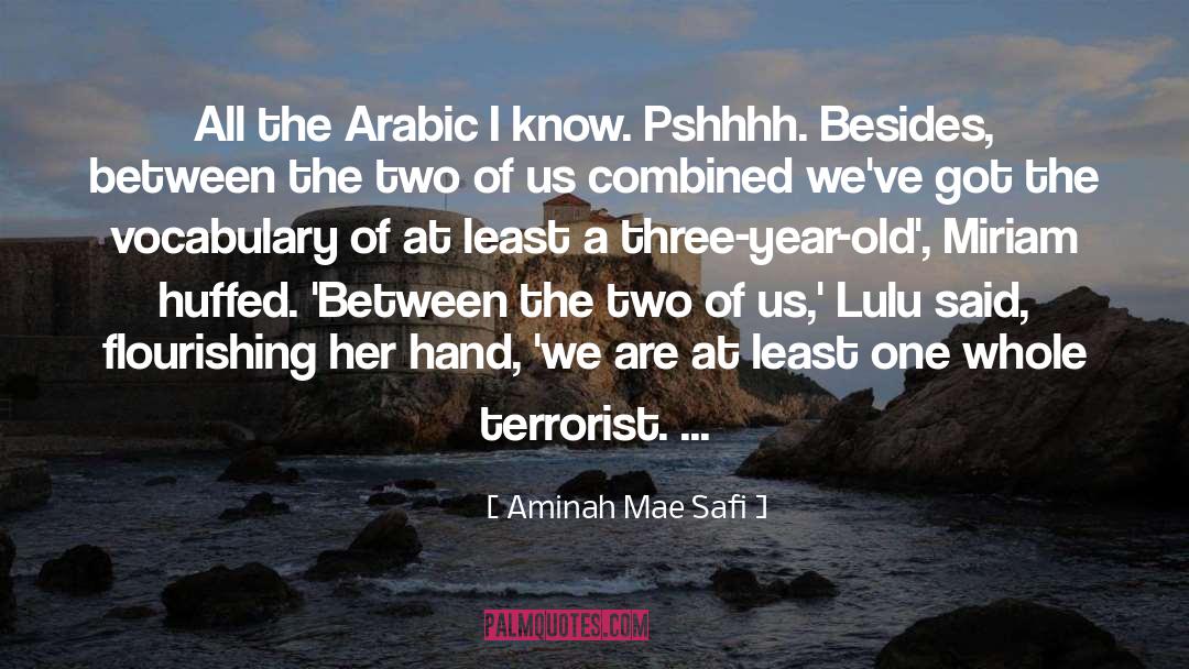 Safi quotes by Aminah Mae Safi