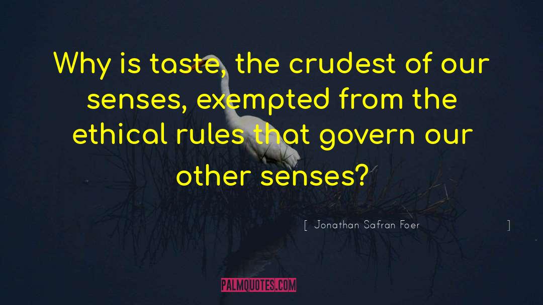 Safran Usa quotes by Jonathan Safran Foer