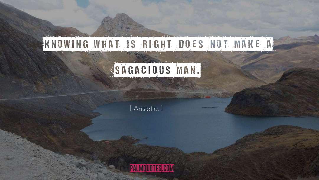 Sagacious quotes by Aristotle.