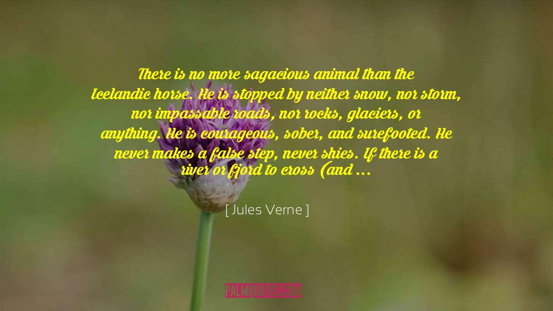 Sagacious quotes by Jules Verne