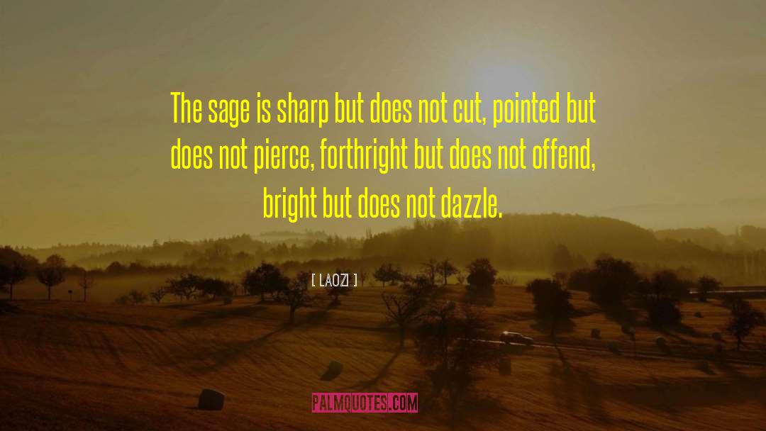 Sage Hannigan quotes by Laozi