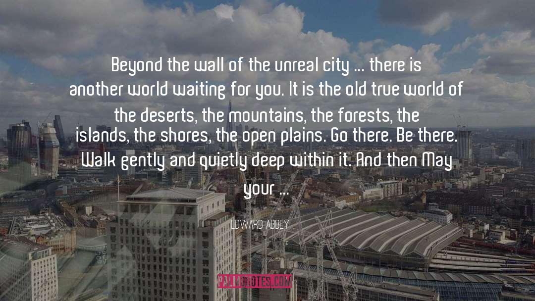 Sahara Desert quotes by Edward Abbey
