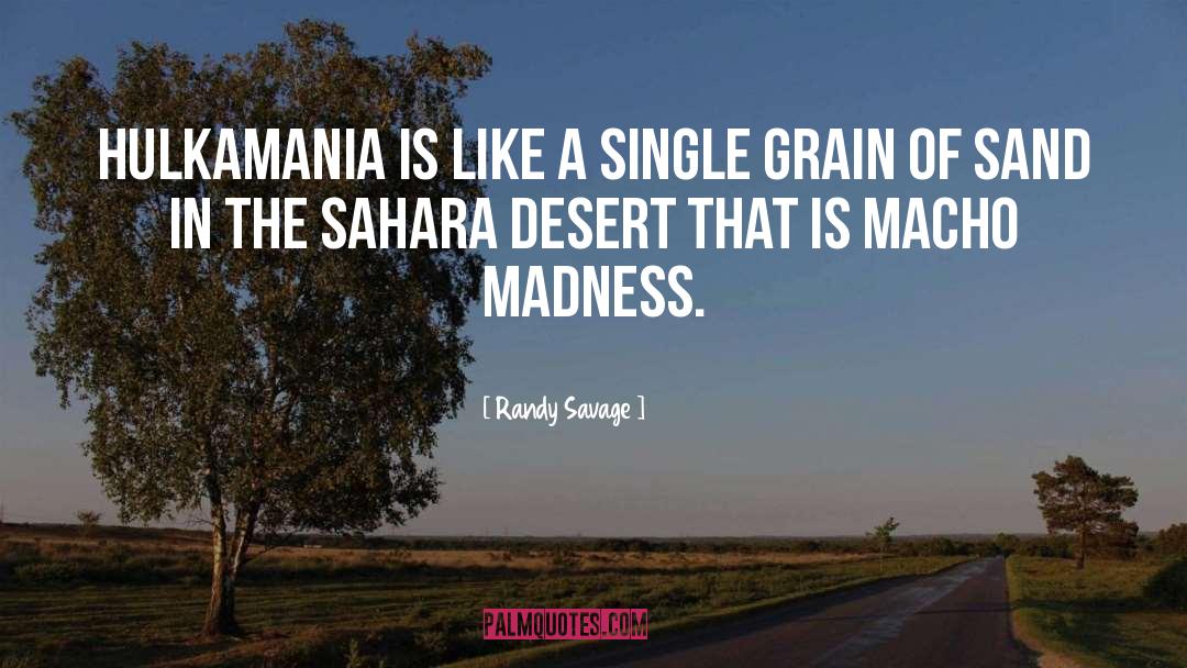 Sahara Desert quotes by Randy Savage