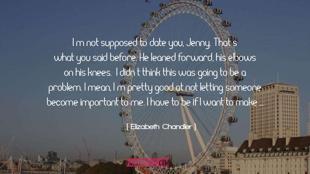 Said Before quotes by Elizabeth Chandler