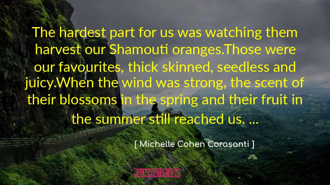 Sailing And Wind quotes by Michelle Cohen Corasanti