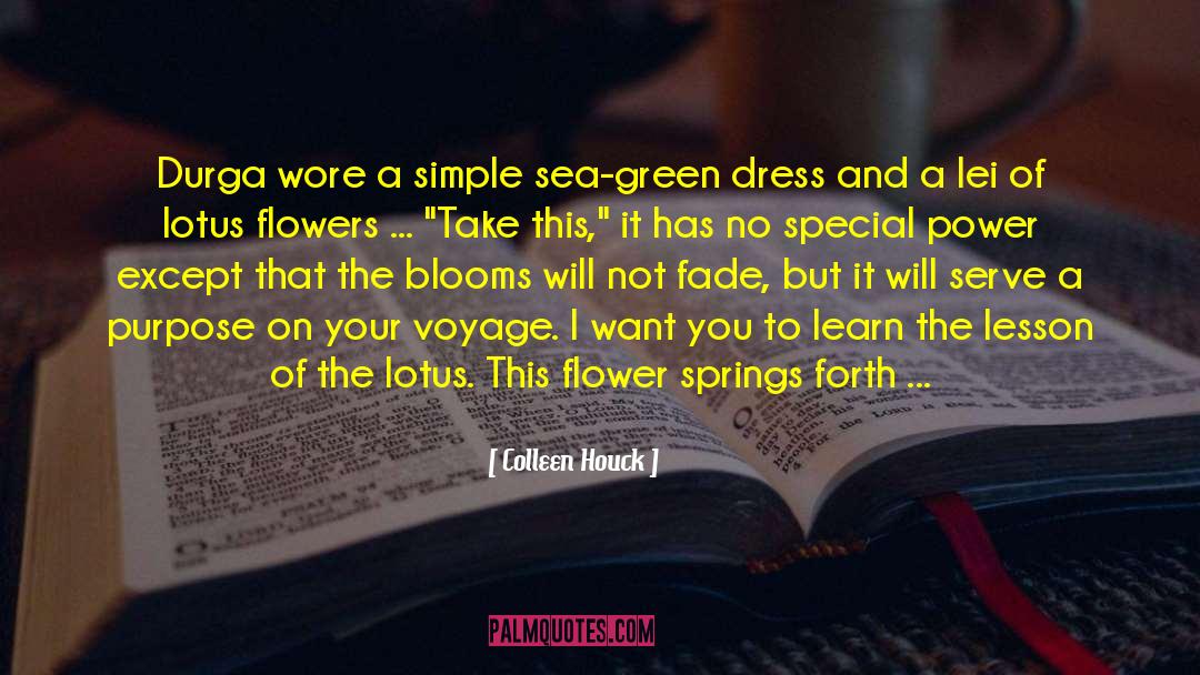 Sailors And The Sea quotes by Colleen Houck