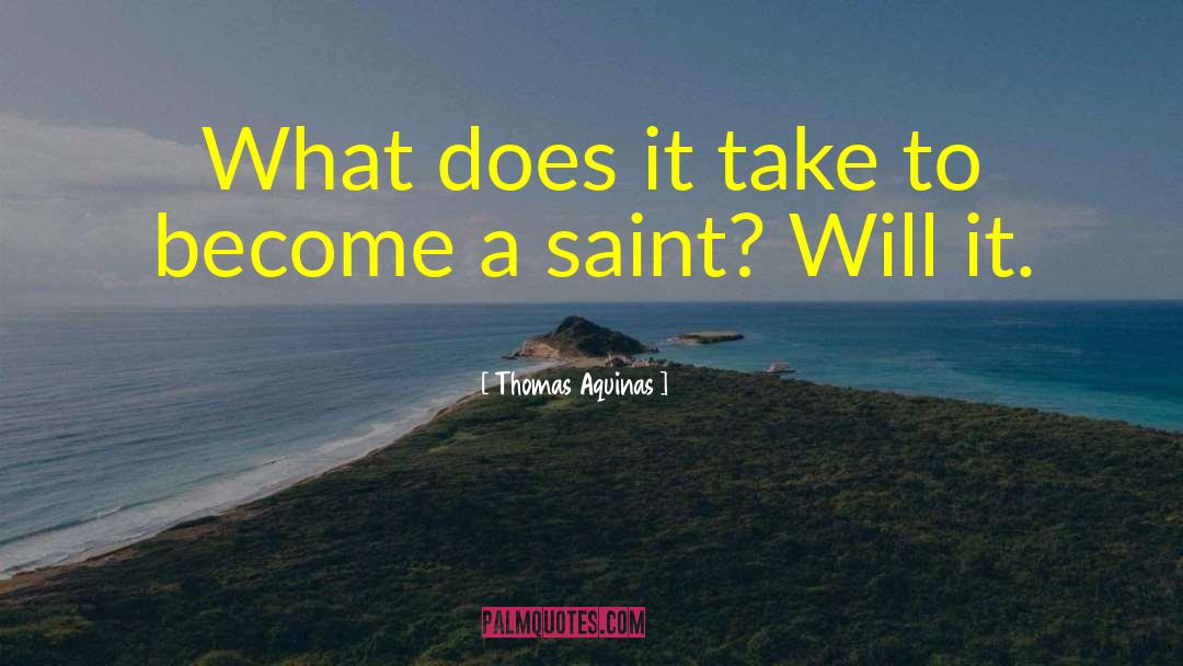 Saint Patrick quotes by Thomas Aquinas