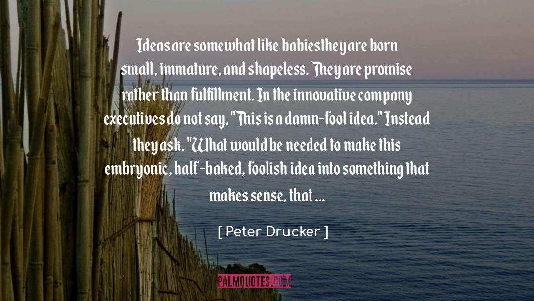 Saint Peter quotes by Peter Drucker