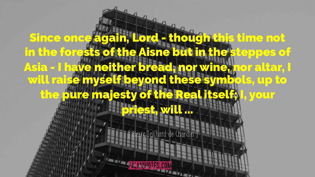 Saint Pierre quotes by Pierre Teilhard De Chardin