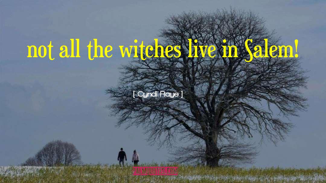 Salem Falls quotes by Cyndi Raye