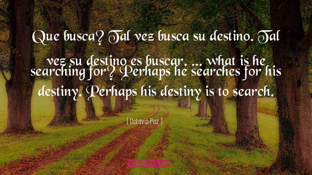 Saliste A Buscar quotes by Octavio Paz