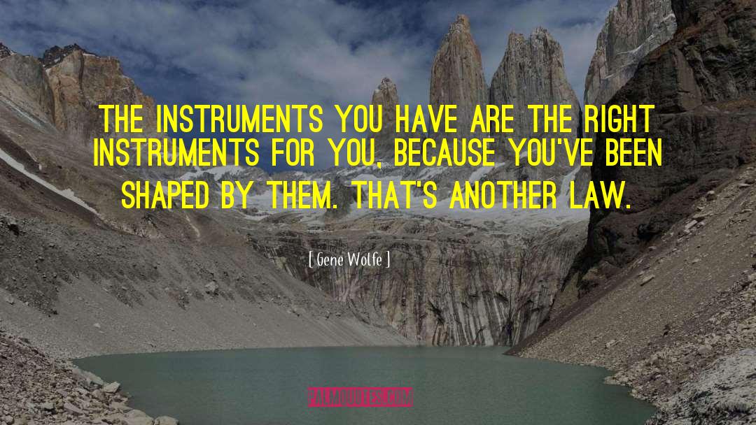 Salmeen Instruments quotes by Gene Wolfe