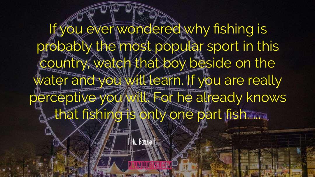 Salmon Fishing In The Yemen Film quotes by Hal Borland