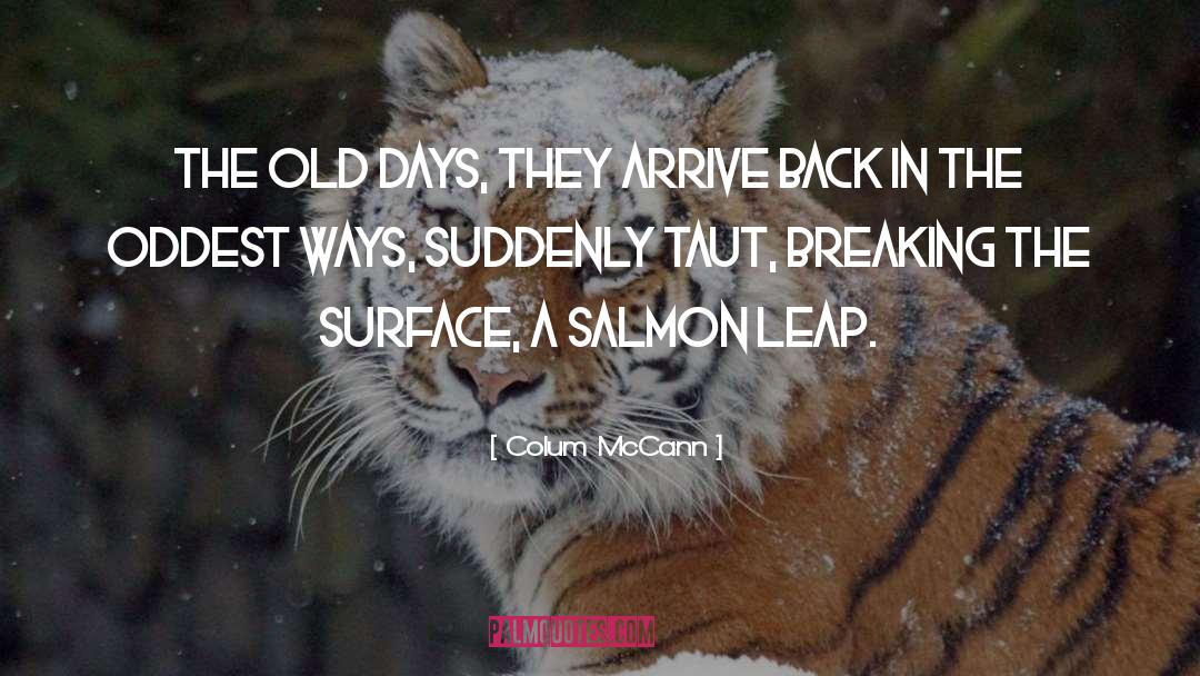 Salmon quotes by Colum McCann