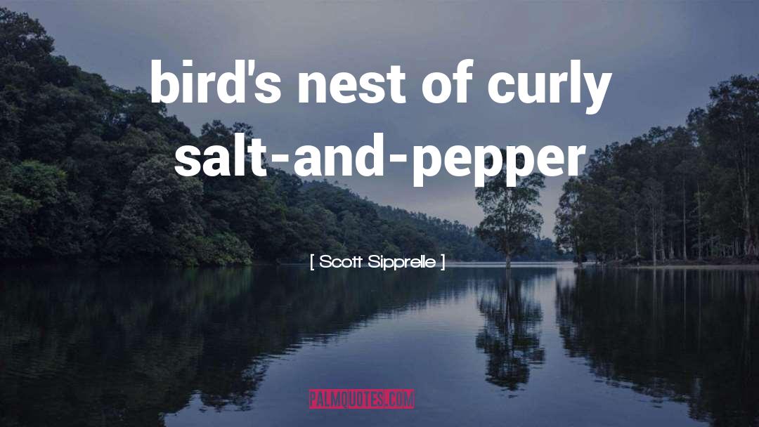 Salt And Pepper quotes by Scott Sipprelle