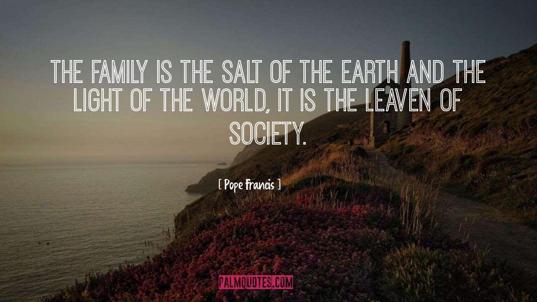 Salt Of The Earth quotes by Pope Francis