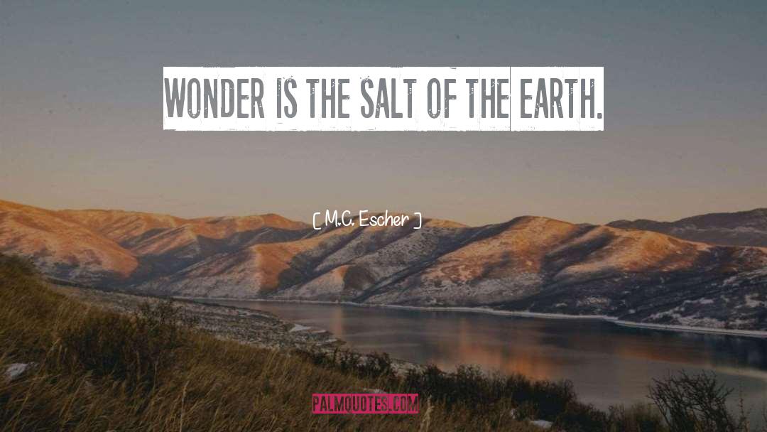 Salt Of The Earth quotes by M.C. Escher
