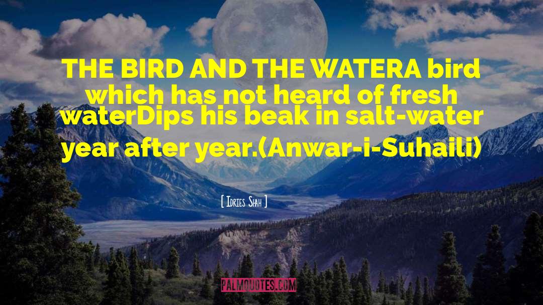 Salt Water quotes by Idries Shah