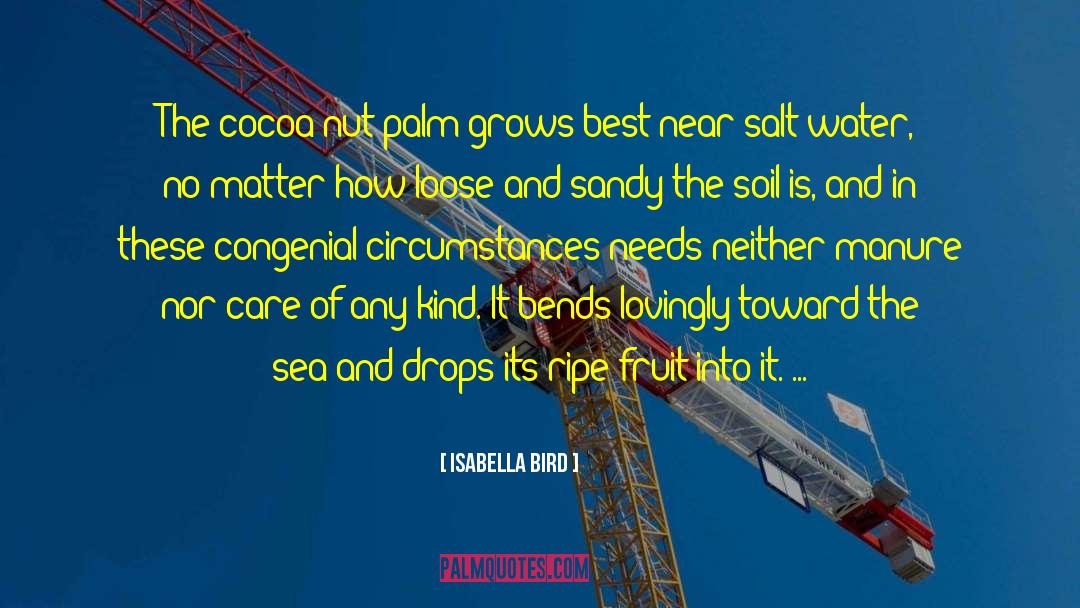 Salt Water quotes by Isabella Bird