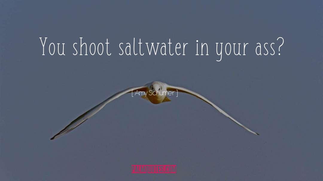 Saltwater quotes by Amy Schumer
