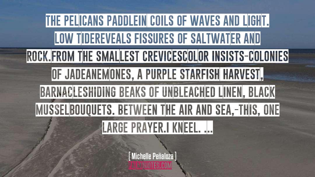 Saltwater quotes by Michelle Peñaloza