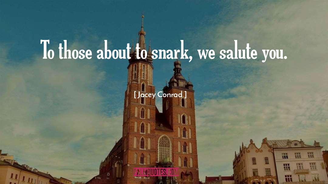 Salute quotes by Jacey Conrad