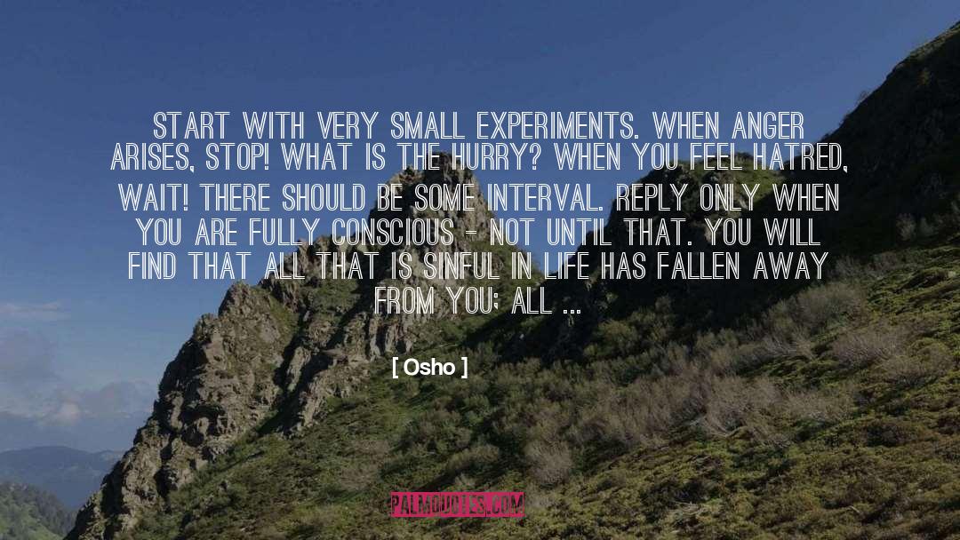 Salvaggios Boulder quotes by Osho