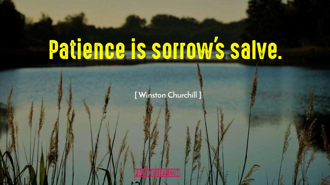 Salve quotes by Winston Churchill