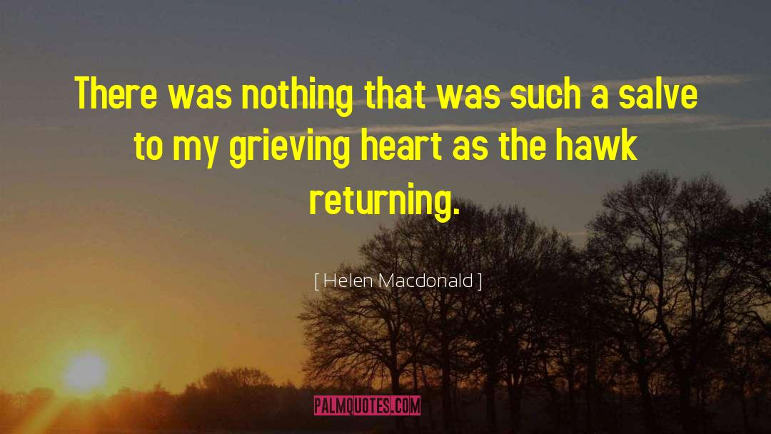 Salve quotes by Helen Macdonald